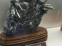 -甘肃地质博物馆