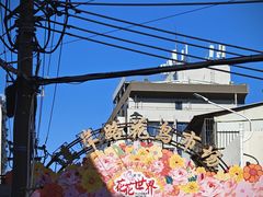 -溪岸路花鸟市场