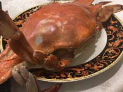 -万宝海鲜舫(劳动公园店)
