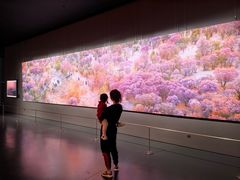 -罗红摄影艺术馆