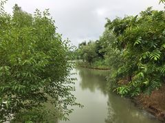 -梁鸿国家湿地公园