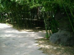 android_upload_pic-西安青龙寺遗址景区