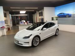 -TESLA 特斯拉(郑州正弘城体验店)