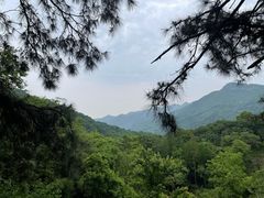 -波尔登森林公园