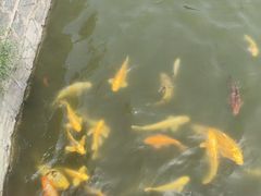 -南戴河国际娱乐中心