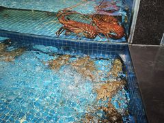 -新阿布海鲜大酒店