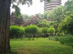 -玲珑塔公园