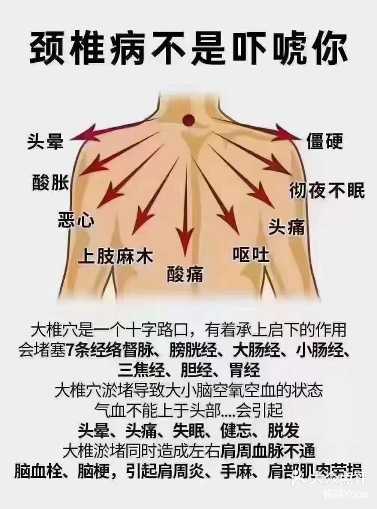 后背对应器官图图片