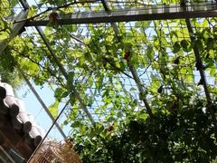 -伊隆斋(什刹海店)