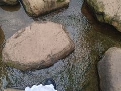 -洋湖国家湿地公园