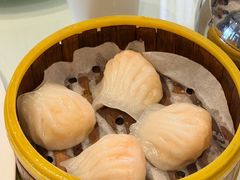 -高第街56号餐厅(宝龙店)