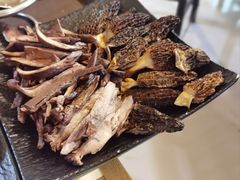 -蘑统田下·野生菌火锅