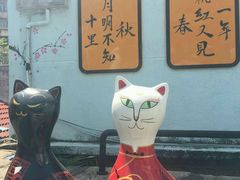-猫咪博物馆(顶澳仔猫街店)