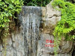 -九龙公园