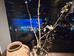 -上井料理黑金店(IFS国金中心店)