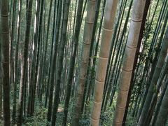 -五泄景区