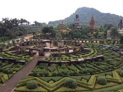 iphone_upload_pic-东芭乐园