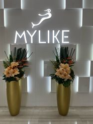 -深圳美莱医疗美容医院