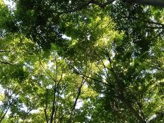 -贮水山儿童公园