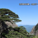 一个人的旅行 爬黄山也可以轻轻松松