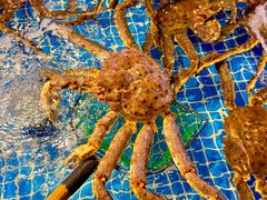 -驻海渔市(置信店)