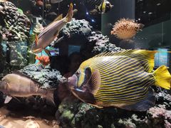 -天津自然博物馆