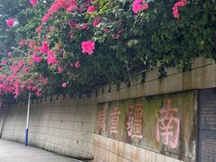 -友谊关景区