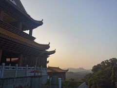 -深圳仙湖植物园