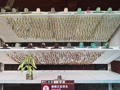 -野象谷景区