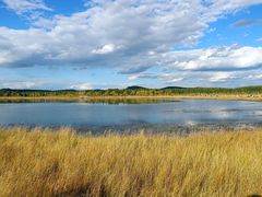 -塞罕坝国家级自然保护区