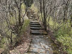 -天燕原始生态旅游区-天门垭景区