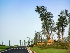 -白鹭湾湿地公园