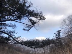 -秦岭风景区