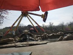 -辛玛王国游乐园