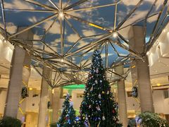 -成都世纪城假日酒店-西楼