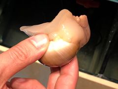 -臻鲜燕海鲜融合餐厅(金陵style店)