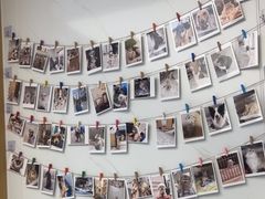 -瑞派康怡24h宠物医院·犬猫医疗中心·微创绝育(瑞景分院)