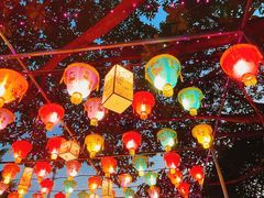 -光明农场大观园