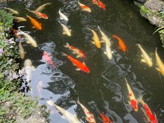 -聚福宝合苑食府(南头镇店)