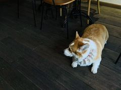 -肥朵食堂(带梦胡同店)