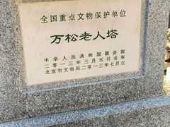 -万松老人塔