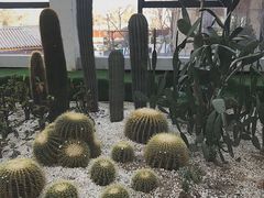 -太白山御龙湾温泉