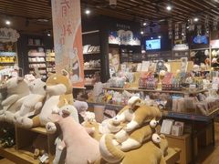 -九木杂物社(大族广场店)