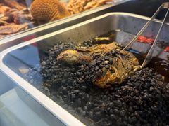 -老鼎万春卤菜(五代传承创始老店)