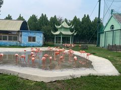 -秦皇岛野生动物园