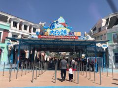 -芜湖新华联大白鲸海洋公园