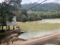 -滴水岩森林公园