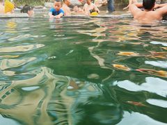 -花水湾第一村温泉大酒店