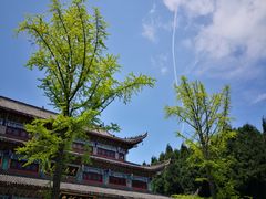 -武陵山森林公园