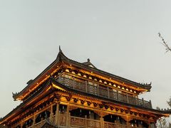 -洋湖国家湿地公园